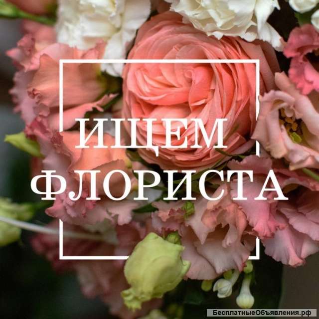 Флорист
