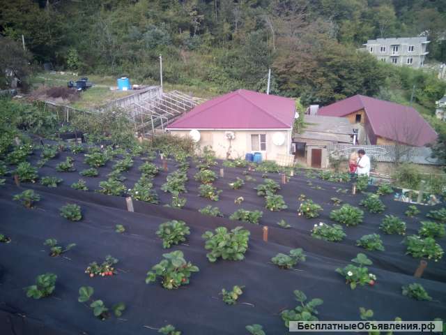 Дом в Молдовке -Адлер