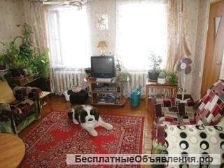 Теплый, уютный дом