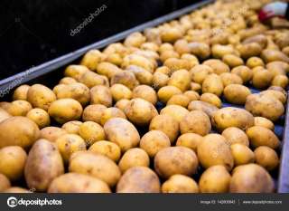 Требуется работник на сортировку овощей