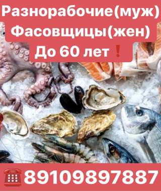 Требуются разнорабочие и фасовщицы морепродуктов до 60 лет