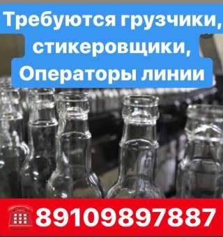 Операторы линии, стикеровщики и грузчики на ликеро-водочный завод