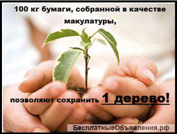 Макулатура