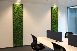 Дизайнер интерьера на постоянную работу