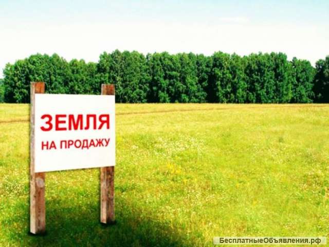 Земельный участок в Черноморском р-не республика Крым