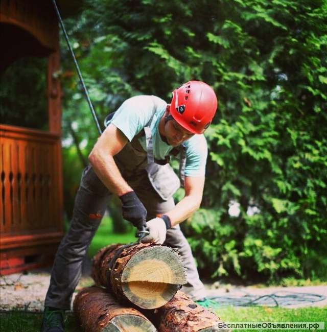 Спилить дерево Чехов. Обрезка деревьев +7 (915) 235-22-06