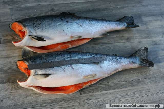 Рыба и морепродукты в розницу по оптовым ценам