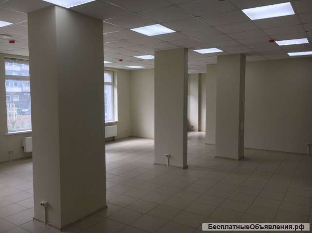 Ремонт квартир и коммерческих помещений