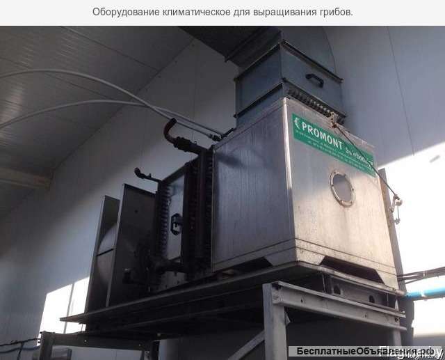 Оборудование по производству шампиньонов с чиллером
