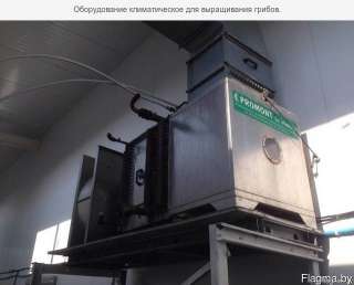 Оборудование по производству шампиньонов с чиллером