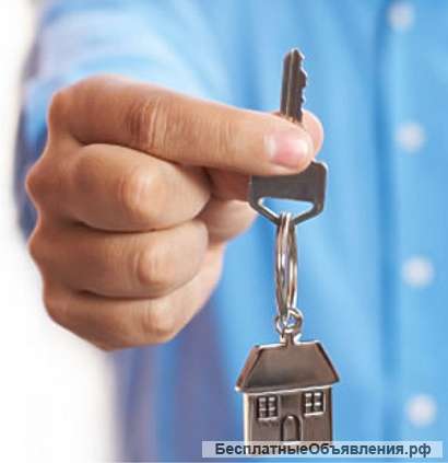 2-ком. квартира ул.Толстого