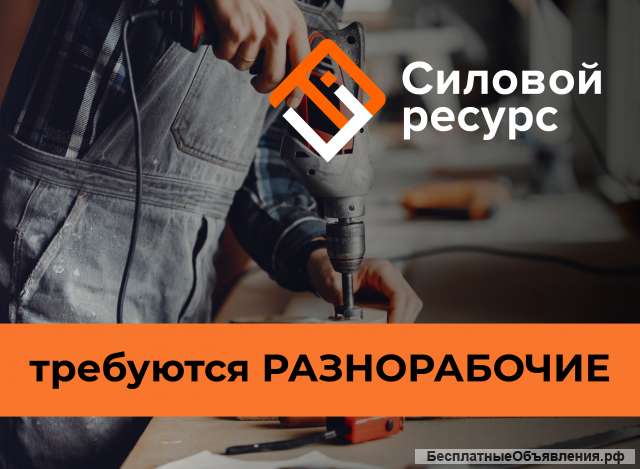 Разнорабочие