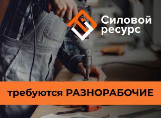Разнорабочие