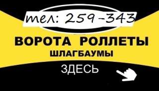 Компания "Ворота Всех Видов" в г.Пенза - это Автоматически ворота и рольставни.
