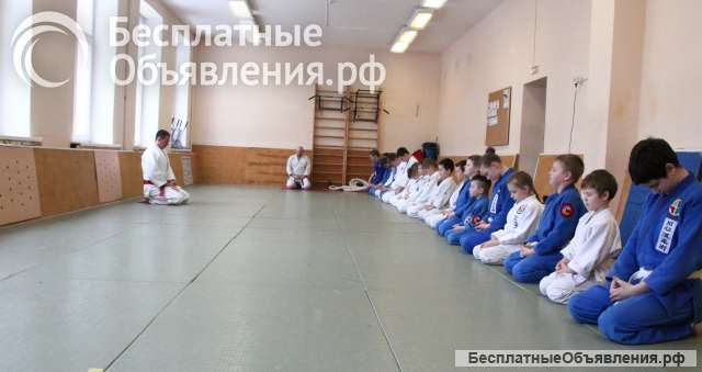Японское джиу-джитсу