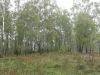 20 соток д. малахово
