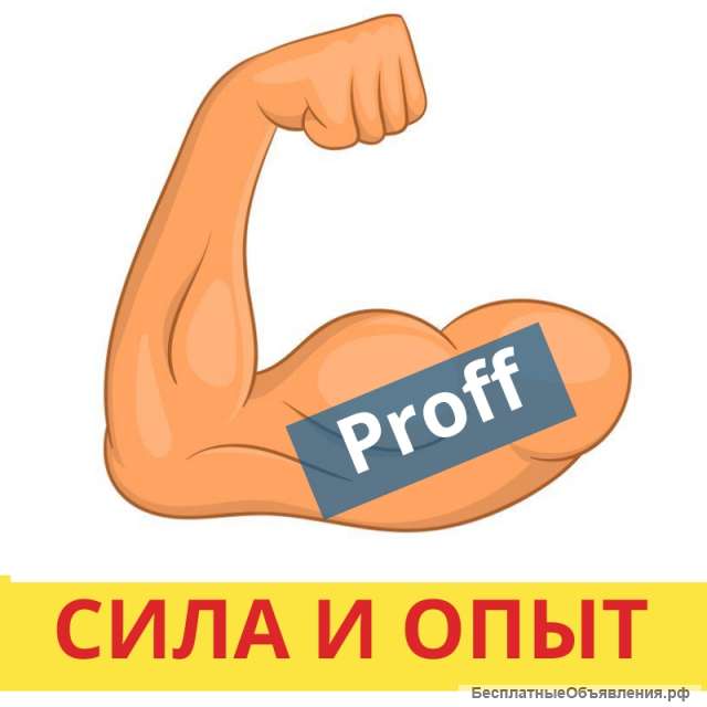 Опытные грузчики. Вывоз строй. мусора. Кисловодск.