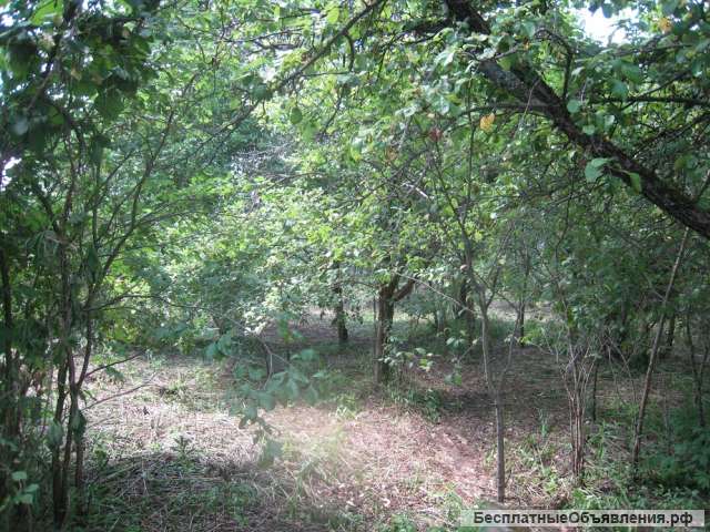 Земельный участок 8 соток