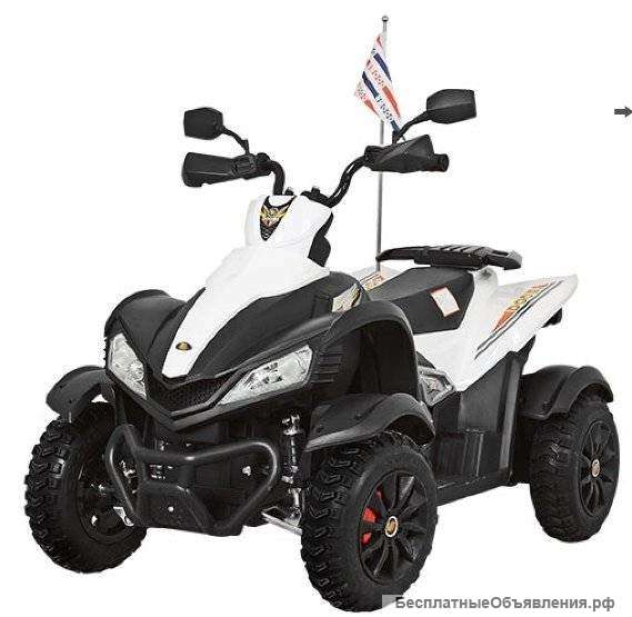 Детский электроквадроцикл Dongma ATV 12 - DMD-268A
