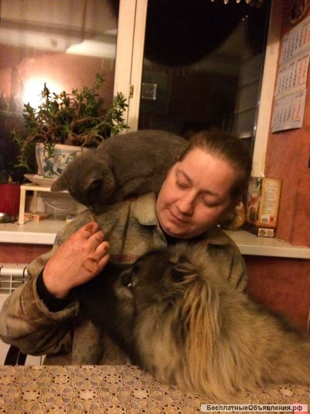 Любая помощь в бухгалтерии, включая СНТ, ТСН и т.д.
