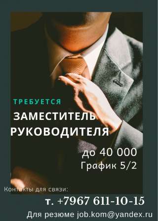 Заместитель по общим вопросам