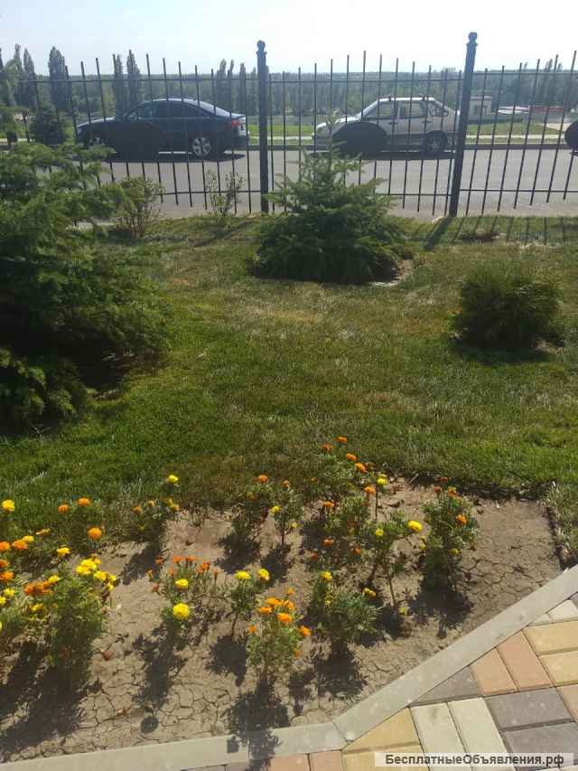 4- комнат. квартира S - 106,7 кв. м. в новом жилом комплексе в Нахичевани