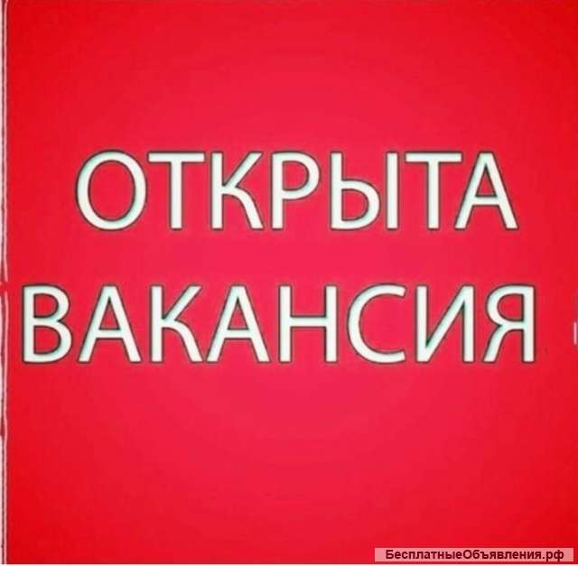 Сотрудники