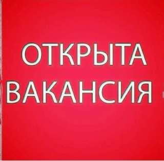 Сотрудники