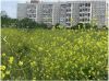 КЕРЧЬ/ продам хорошую 3-комнатную квартиру