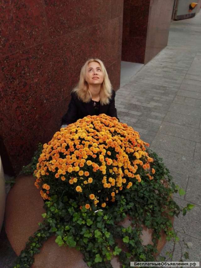 Ясновидящая