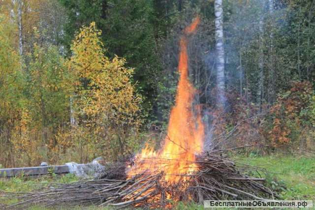 Требуются рабочие, самостоятельные бригады в лес