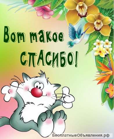 Водитель ищу работу