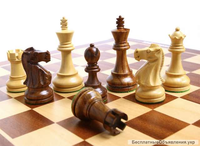 Частные уроки по шахматам (Скайп)