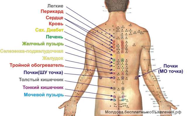Акупунктурный аппликатор спины