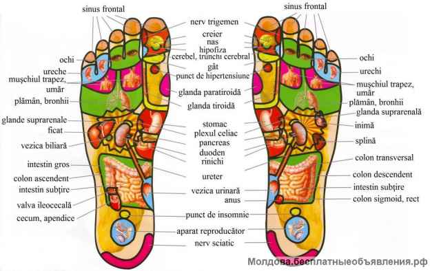 Тренажер акупунктурный. Йога. Спорт. Боевые Искусства.