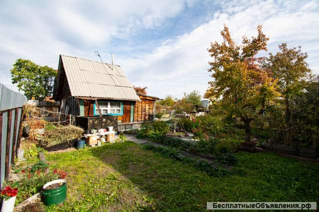 Сад в СНТ «Станкостроитель – 2»