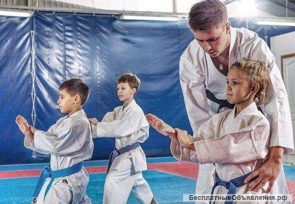 Требуется детский тренер по карате, стиль шотокан