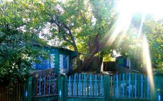 Дом в с. Таврийское по ул. Вишневая, 62 Голопристанского района Херсонской области