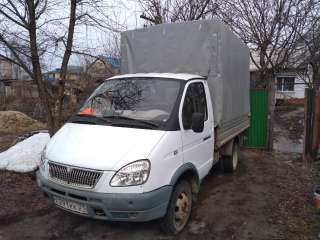 Газель