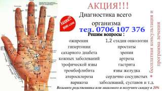 Обследование организма