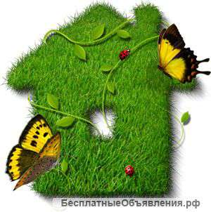 Основы ландшафтного дизайна