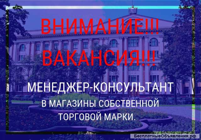 Менеджер - консультант