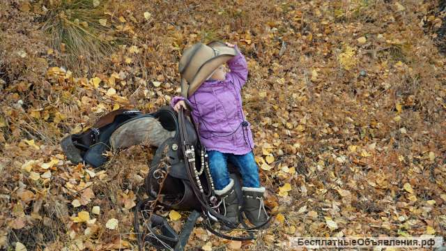 Конные прогулки, Обучение, Фотосессии