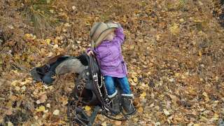 Конные прогулки, Обучение, Фотосессии