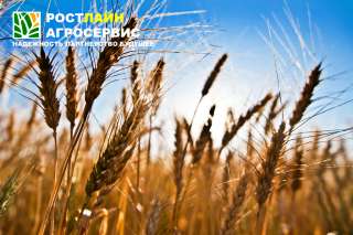 Менеджер по продаже сельскохозяйственной техники, оборудования и тракторов