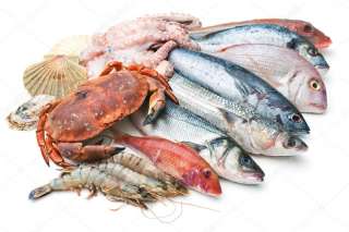 Оптовая продажа рыбы и морепродуктов