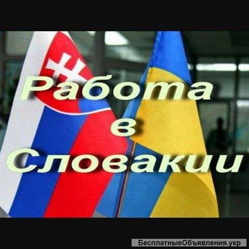 Работа в Словакии и Чехии
