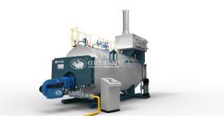 Газовый/ жидкотопливный паровой котёл серии WNS