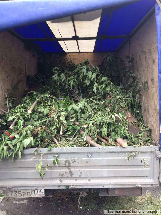 Вывоз листвы на ГАЗели