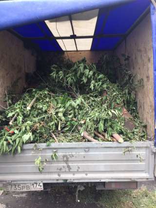 Вывоз листвы на ГАЗели